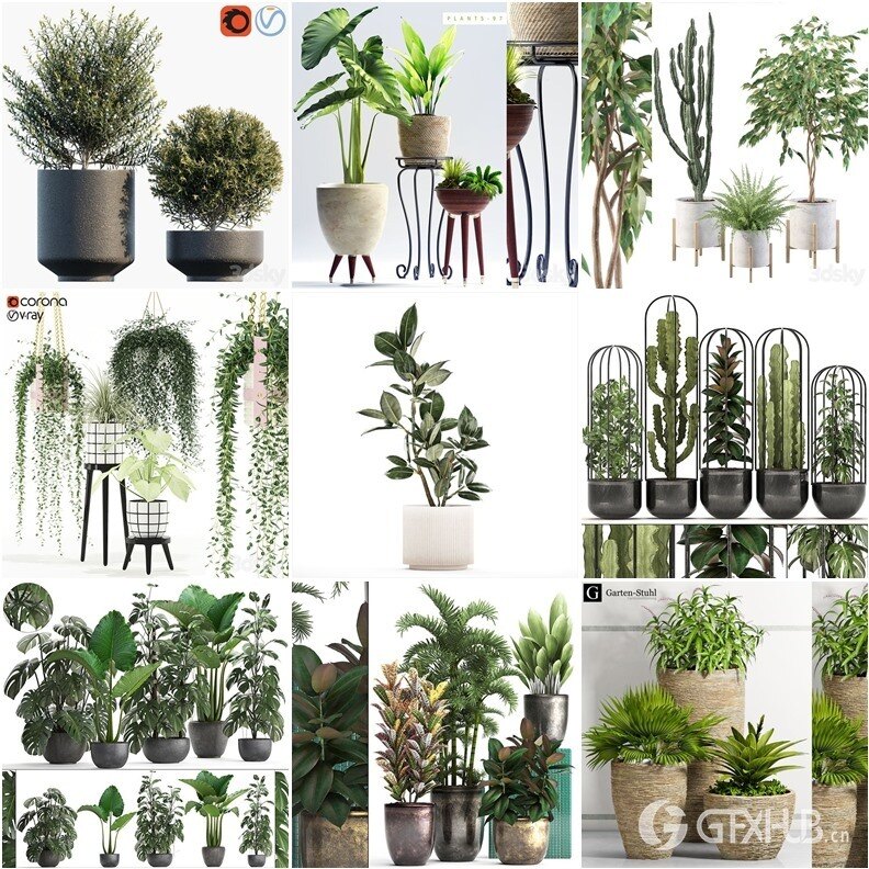 30套室内盆栽3D模型合集 - 20240802
