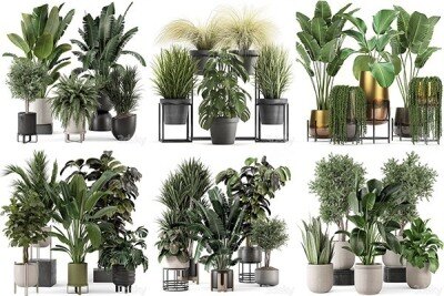 30套室内盆栽3D模型合集 – 20240802