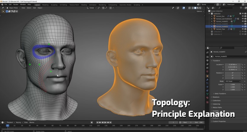 【中文字幕】 Blender创建高度逼真的3d狼模型教程 Blender Creature Effects The Complete WorkFlow Modeling