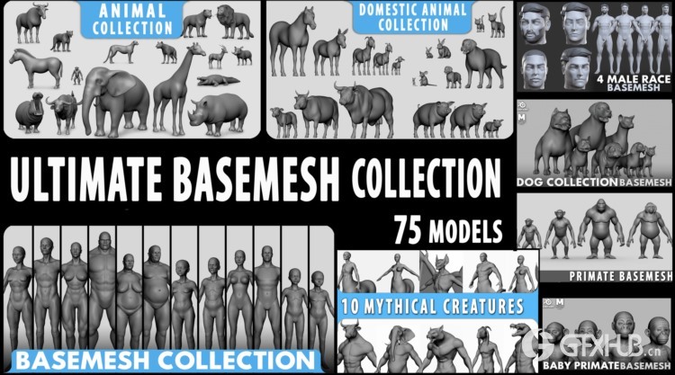 人物角色动物基础3D模型 Ultimate Basemesh Collection (Blender/FBX/OBJ/Ma格式)