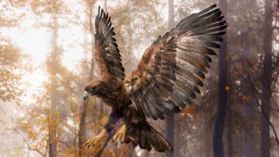 绑定老鹰3D模型 TurboSquid – DisneyTD – Golden Eagle Fur Rigged