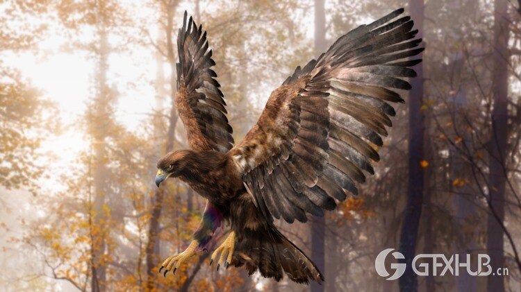 绑定老鹰3D模型 TurboSquid – DisneyTD – Golden Eagle Fur Rigged
