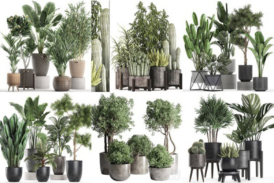 30套室内盆栽3D模型合集 – 20240831