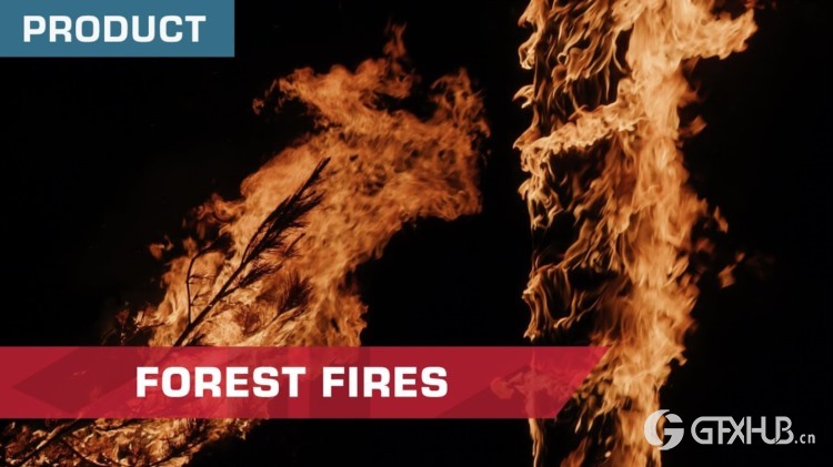 31组真实逼真森林火灾燃烧4K视频素材 ActionVFX - Forest Fires 4k
