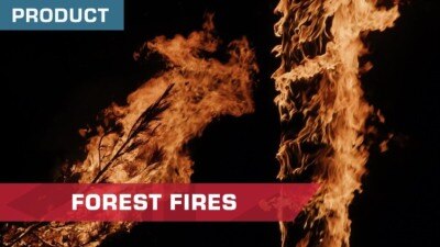 31组真实逼真森林火灾燃烧4K视频素材 ActionVFX – Forest Fires 4k