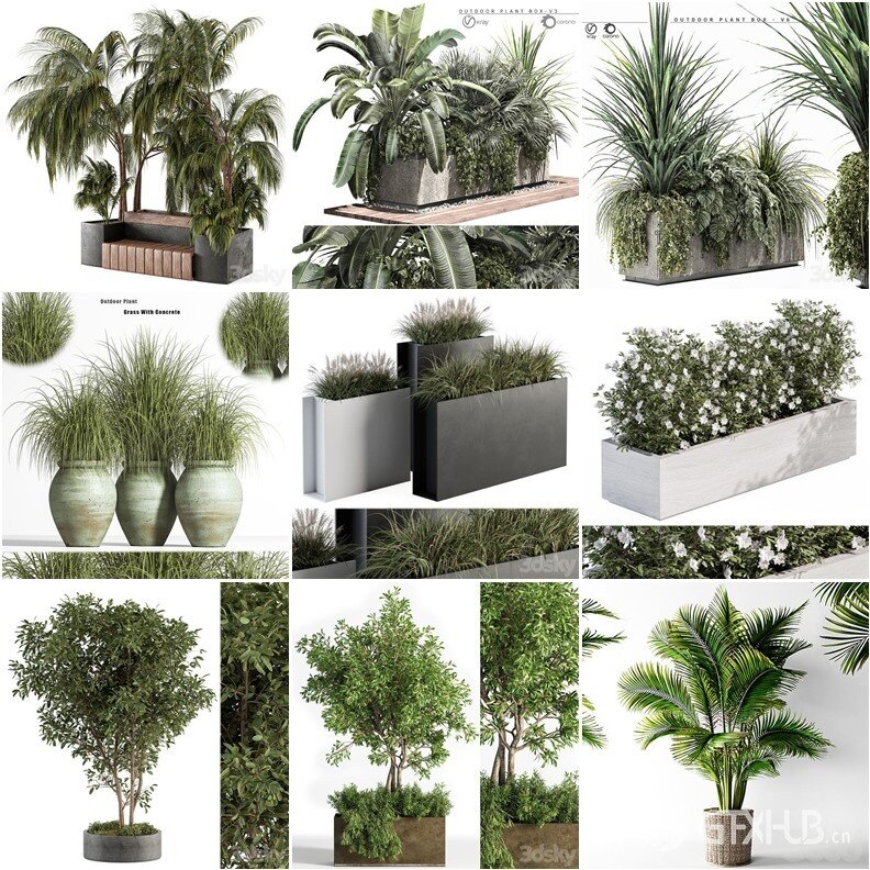 30套室内盆栽3D模型合集 - 20240925