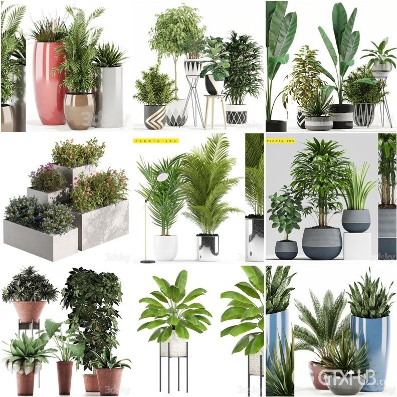 30套室内盆栽3D模型合集 - 20240925