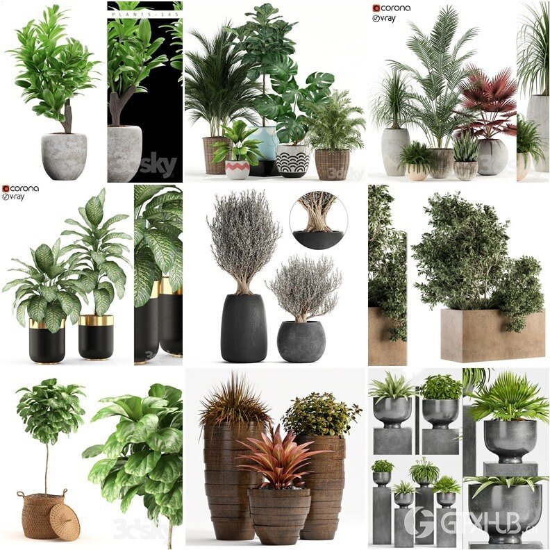 30套室内盆栽3D模型合集 - 20240925