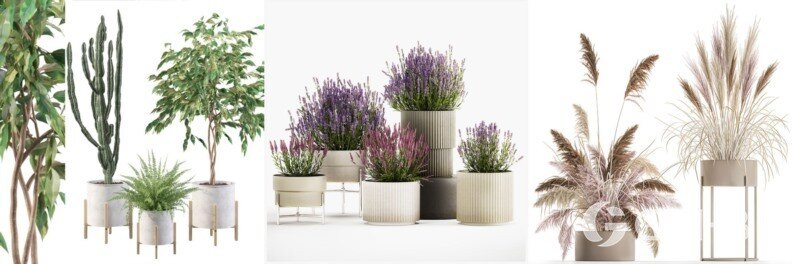 30套室内盆栽3D模型合集 - 20240925