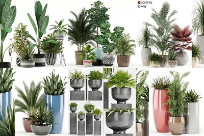 30套室内盆栽3D模型合集 – 20240925
