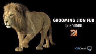 【中文字幕】Houdini毛发制作教程 CGCircuit – Grooming Lion Fur in Houdini – Sara Hansen