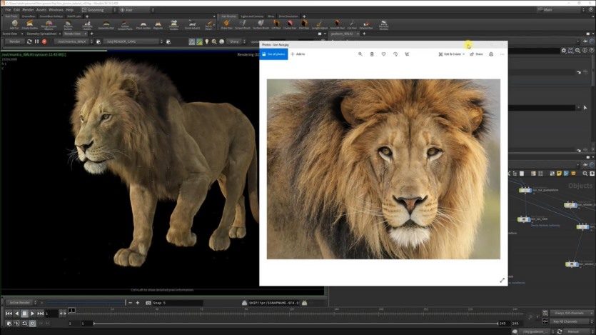 【中文字幕】Houdini毛发制作教程 CGCircuit - Grooming Lion Fur in Houdini - Sara Hansen