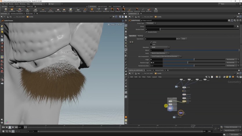 【中文字幕】Houdini毛发制作教程 CGCircuit - Grooming Lion Fur in Houdini - Sara Hansen