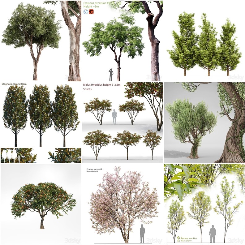 30套植物树木3D模型合集 - 20241021