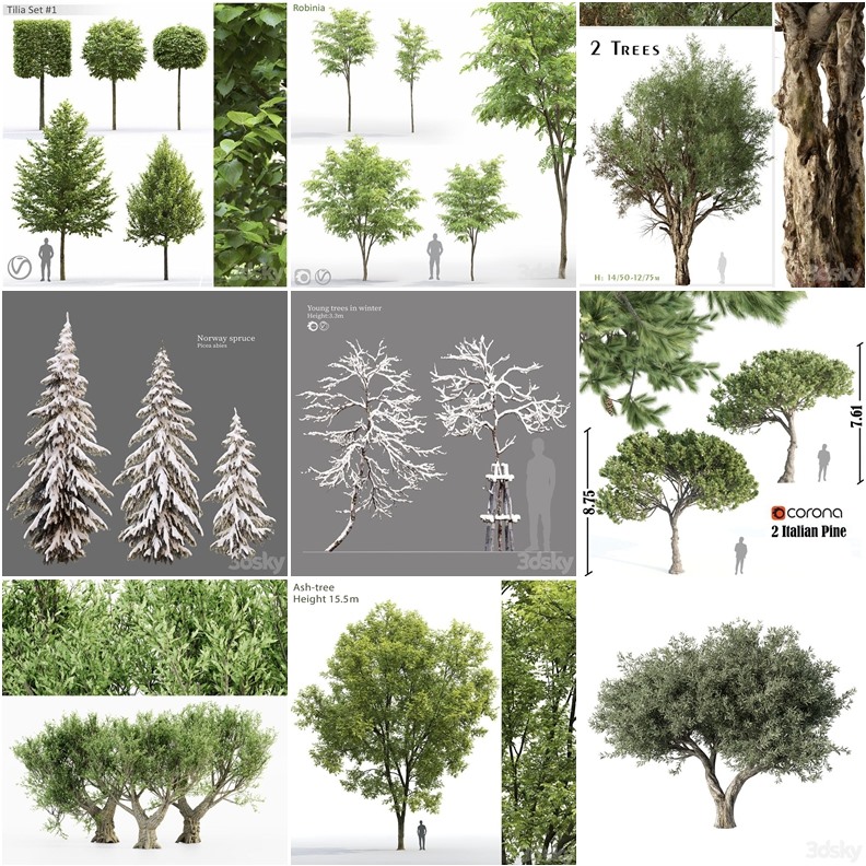 30套植物树木3D模型合集 - 20241021