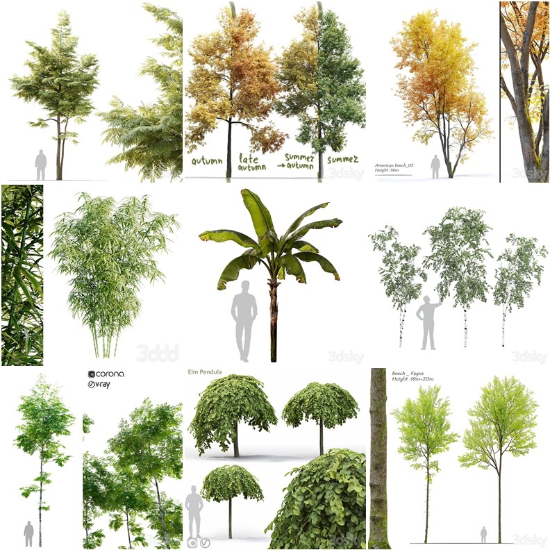 30套植物树木3D模型合集 - 20241021