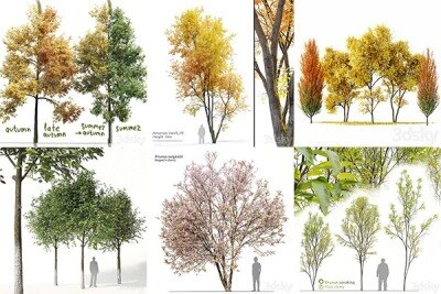 30套植物树木3D模型合集 – 20241021