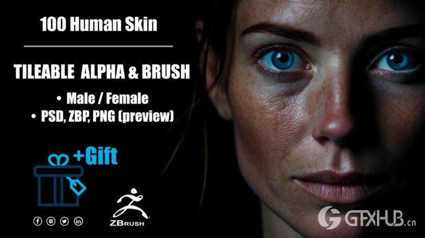 人体皮肤套件可平铺的Alpha贴图和画笔 Human Skin Kit (Tileable Alpha and Brush)