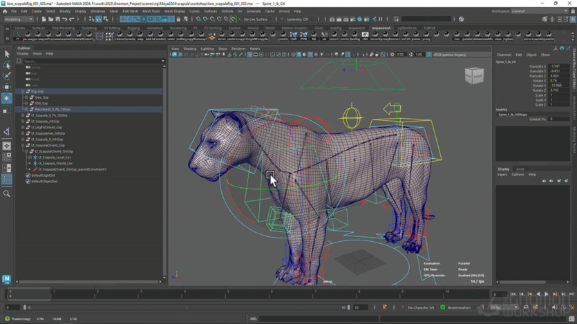 【中文字幕】Maya四足动物绑定动画教程 Creating a Quadruped Rig For Production