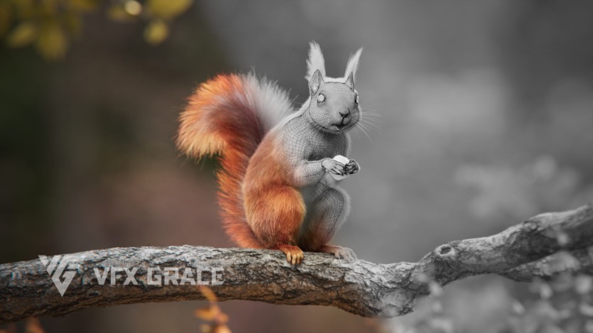 松鼠3D模型 RedSquirrel Summer Animated VFX Grace 3D model