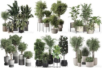 30套室内盆栽3D模型合集 – 20241027