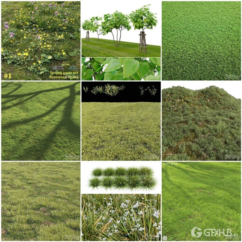 30套灌木花草植被3D模型合集 - 20241107