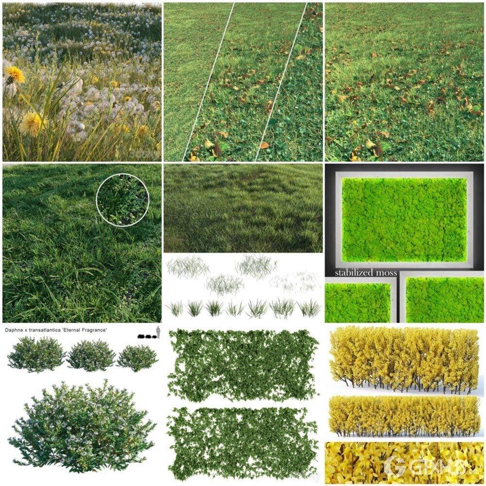 30套灌木花草植被3D模型合集 - 20241107