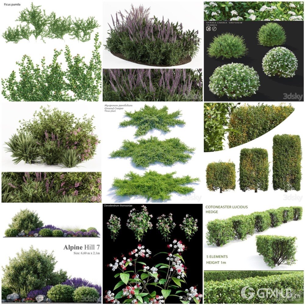 30套灌木花草植被3D模型合集 - 20241107