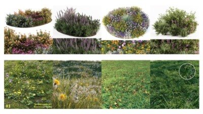 30套灌木花草植被3D模型合集 – 20241107