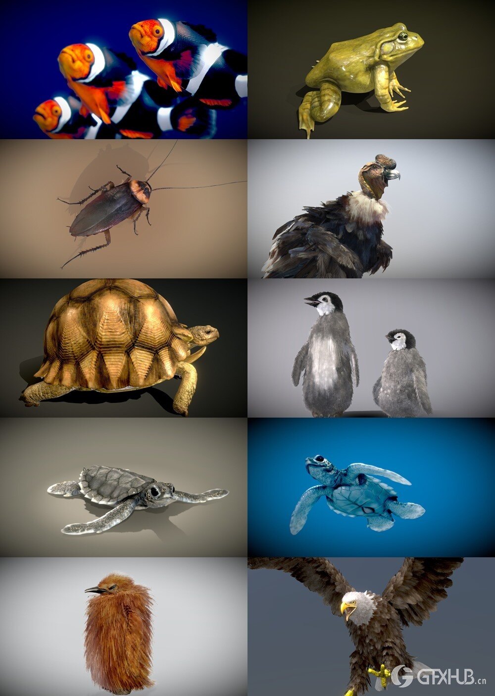 42个动物海洋生物3D模型合集(格式BlenderFBX) Sketchfab - Animals 3D Model