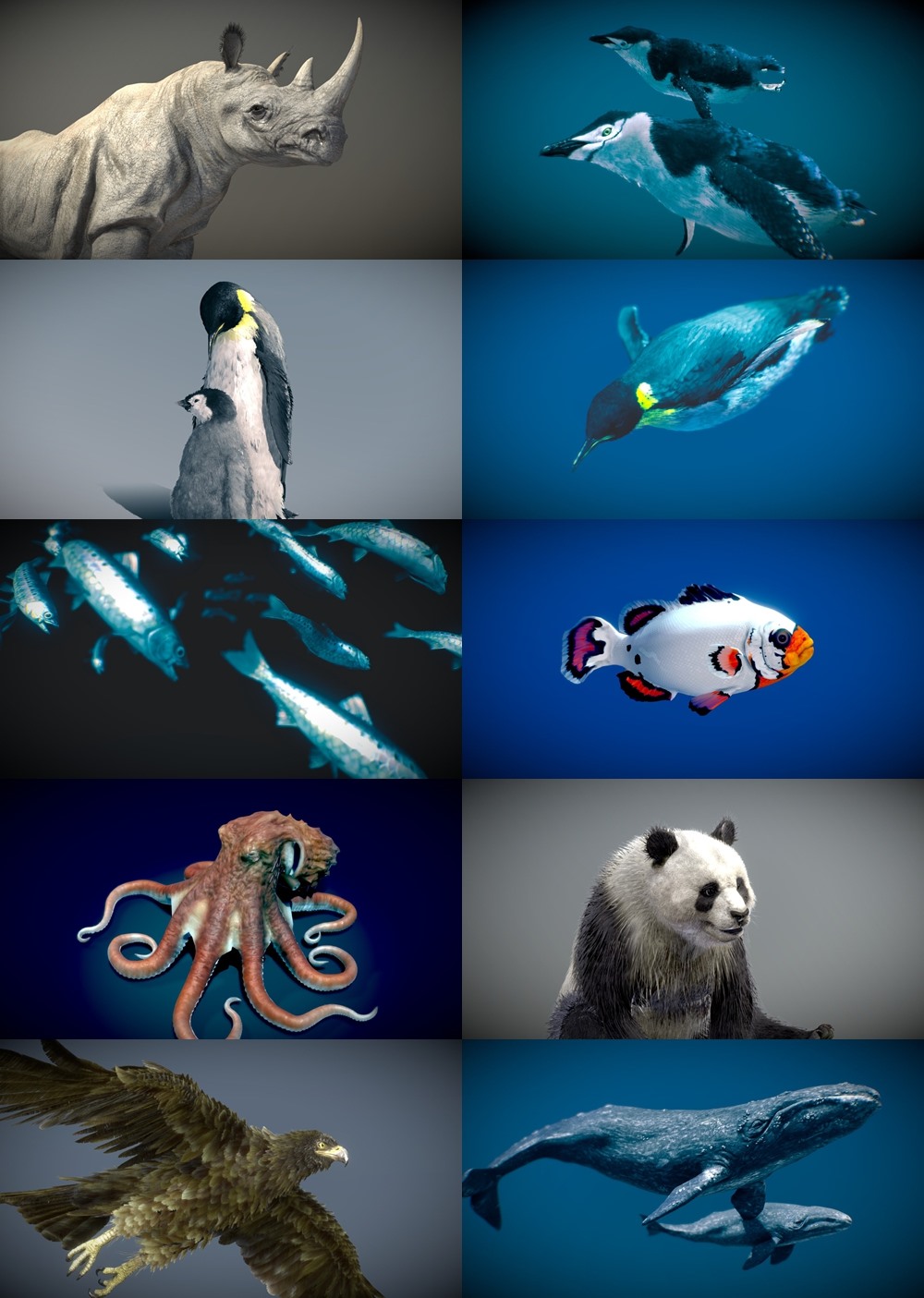 42个动物海洋生物3D模型合集(格式BlenderFBX) Sketchfab - Animals 3D Model