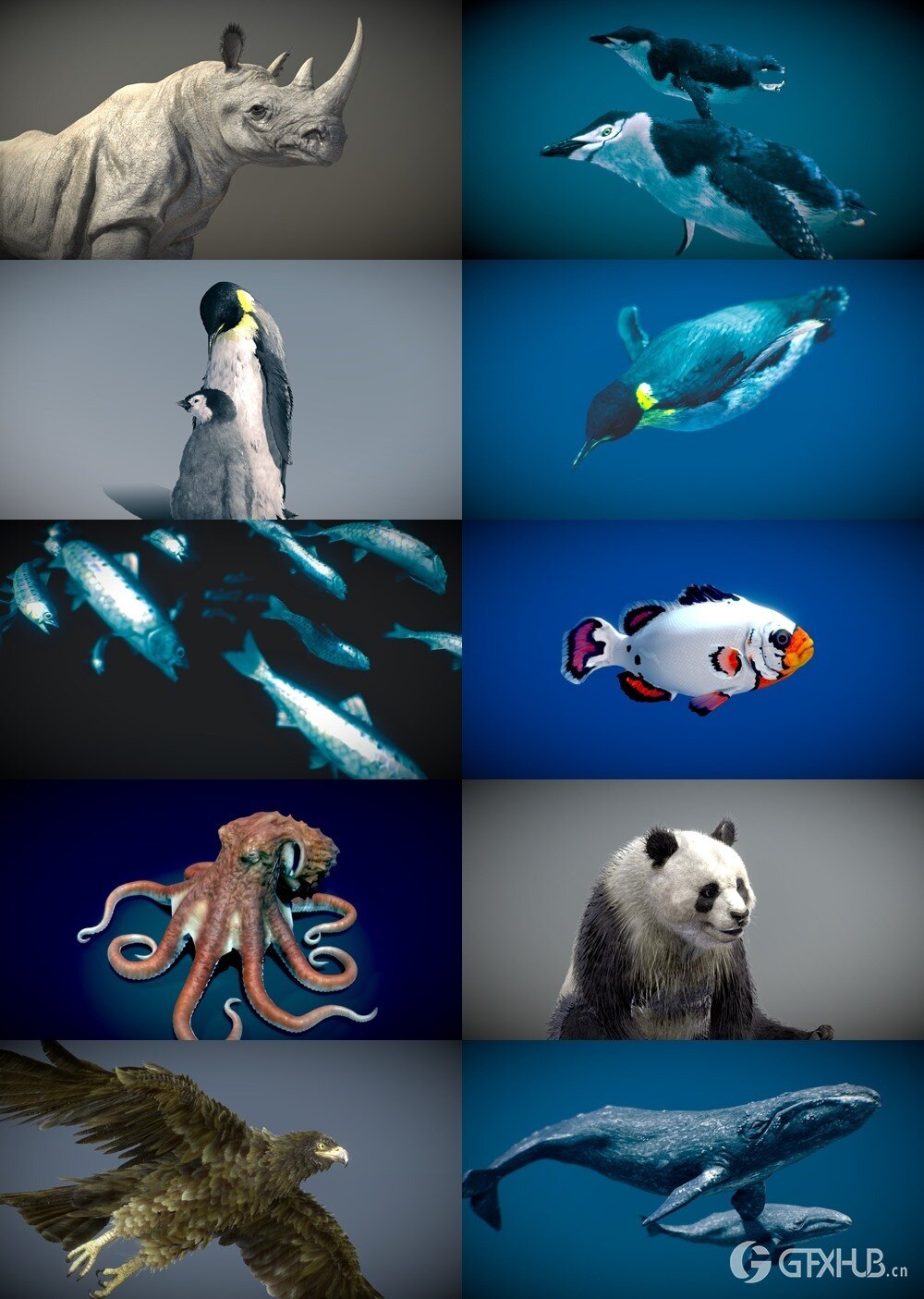 42个动物海洋生物3D模型合集(格式BlenderFBX) Sketchfab - Animals 3D Model