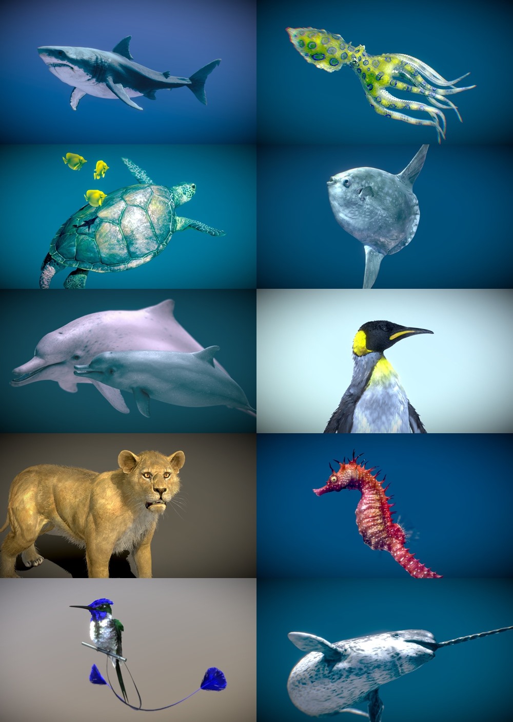 42个动物海洋生物3D模型合集(格式BlenderFBX) Sketchfab - Animals 3D Model
