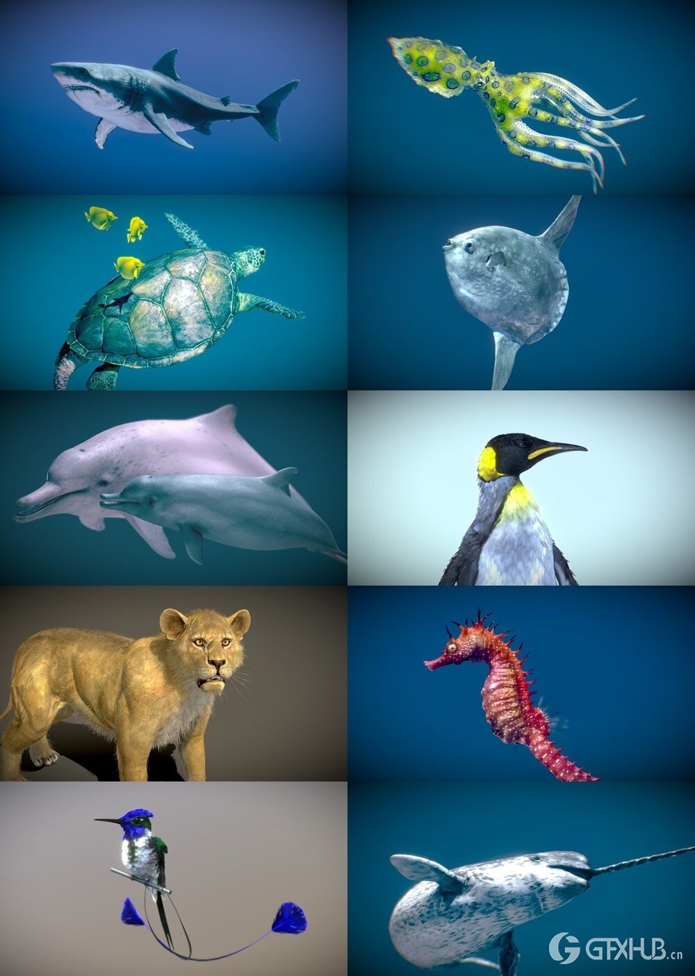 42个动物海洋生物3D模型合集(格式BlenderFBX) Sketchfab - Animals 3D Model