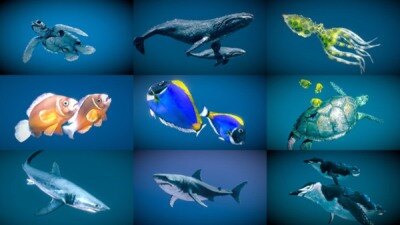 42个动物海洋生物3D模型合集(格式Blender\FBX) Sketchfab – Animals 3D Model