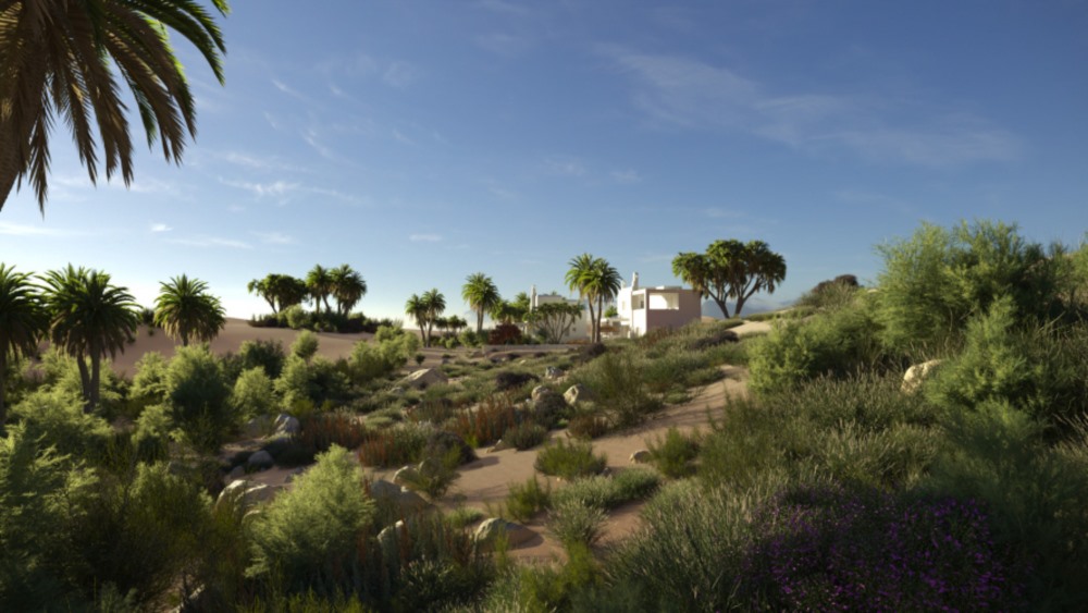 72个沙漠植物树木灌木3D模型 Evermotion - Archmodels vol. 276 - Desert Plants