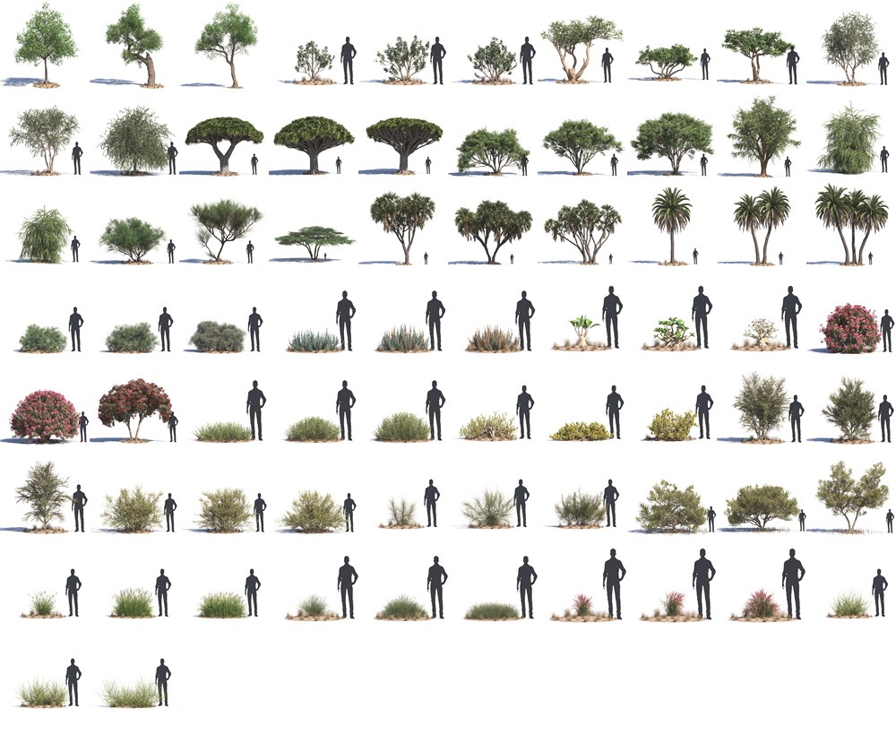 72个沙漠植物树木灌木3D模型 Evermotion - Archmodels vol. 276 - Desert Plants