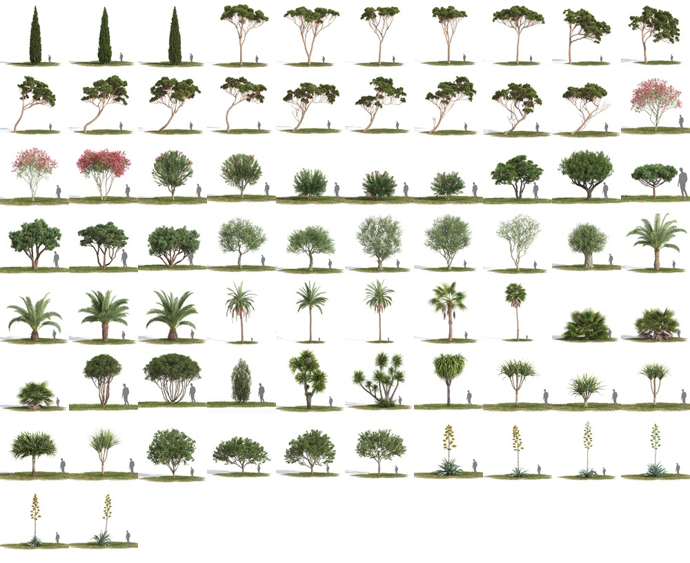 72个地中海生物群落树木3D模型 Evermotion - Archmodels vol. 269