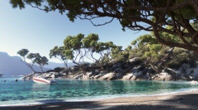 72个地中海生物群落树木3D模型 Evermotion – Archmodels vol. 269