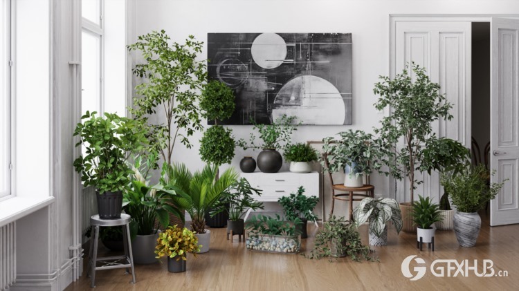 20个高质量室内植物模型 Evermotion - Archmodels vol. 280
