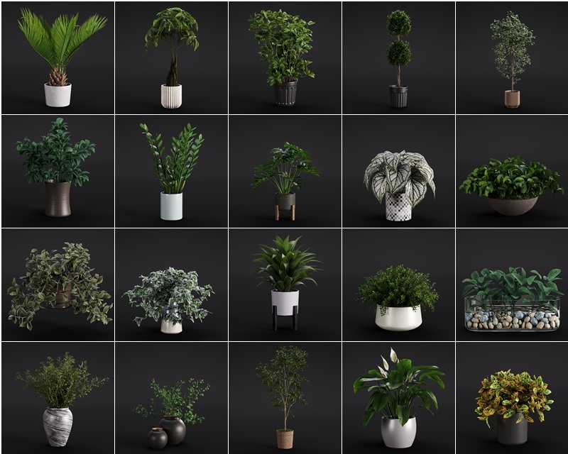 20个高质量室内植物模型 Evermotion - Archmodels vol. 280