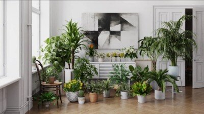 20个高质量室内植物模型 Evermotion – Archmodels vol. 282