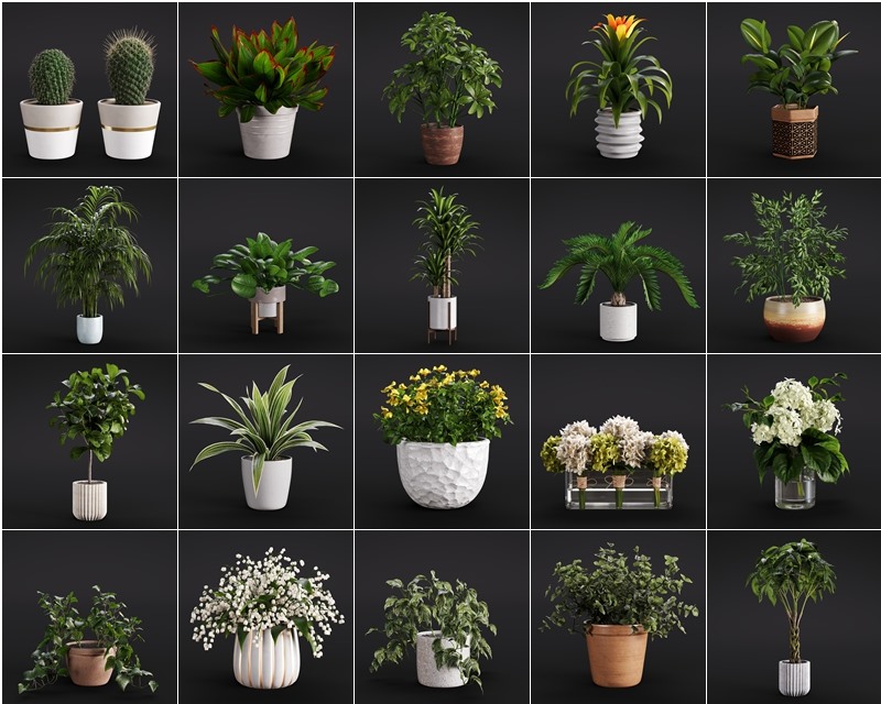 20个高质量室内植物模型 Evermotion – Archmodels vol. 282