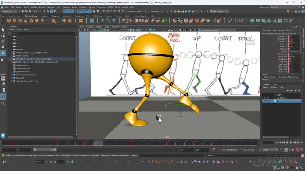【中文字幕】MAYA身体力学动画教程 Maya for Animators - Body Mechanics