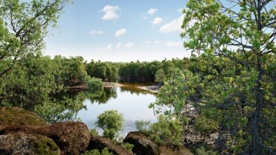 102种红树林树木灌木3D模型 Globe Plants – Bundle 50 – Mangrove Plants