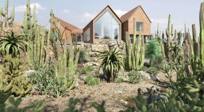 72个热带植物仙人掌灌木3D模型 Plant Models Vol 138