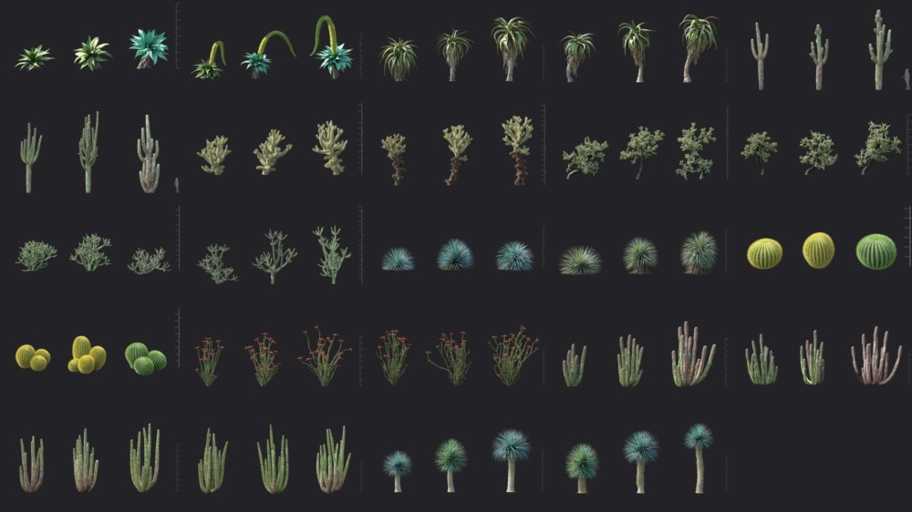 72个热带植物仙人掌灌木3D模型 Plant Models Vol 138