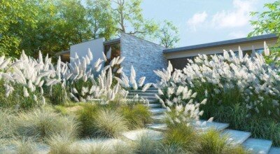 108个草本植物芒草蒲苇草3D模型 Plant Models Vol 139