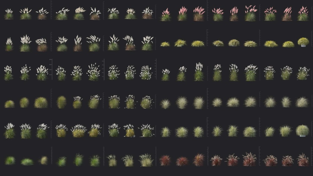 108个草本植物芒草蒲苇草3D模型 Plant Models Vol 139