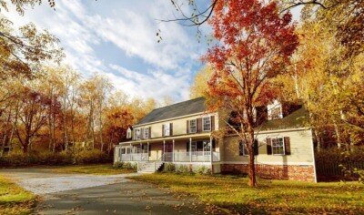 90个柳树松树枫树树木灌木3D模型 Plant Models Vol 146